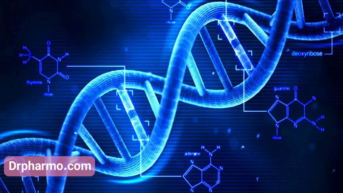 DNA و ساختار ژنتیکی فردDNA و ساختار ژنتیکی فرد