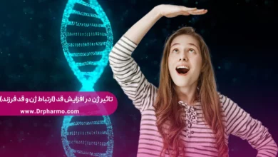 تاثیر ژن در افزایش قد