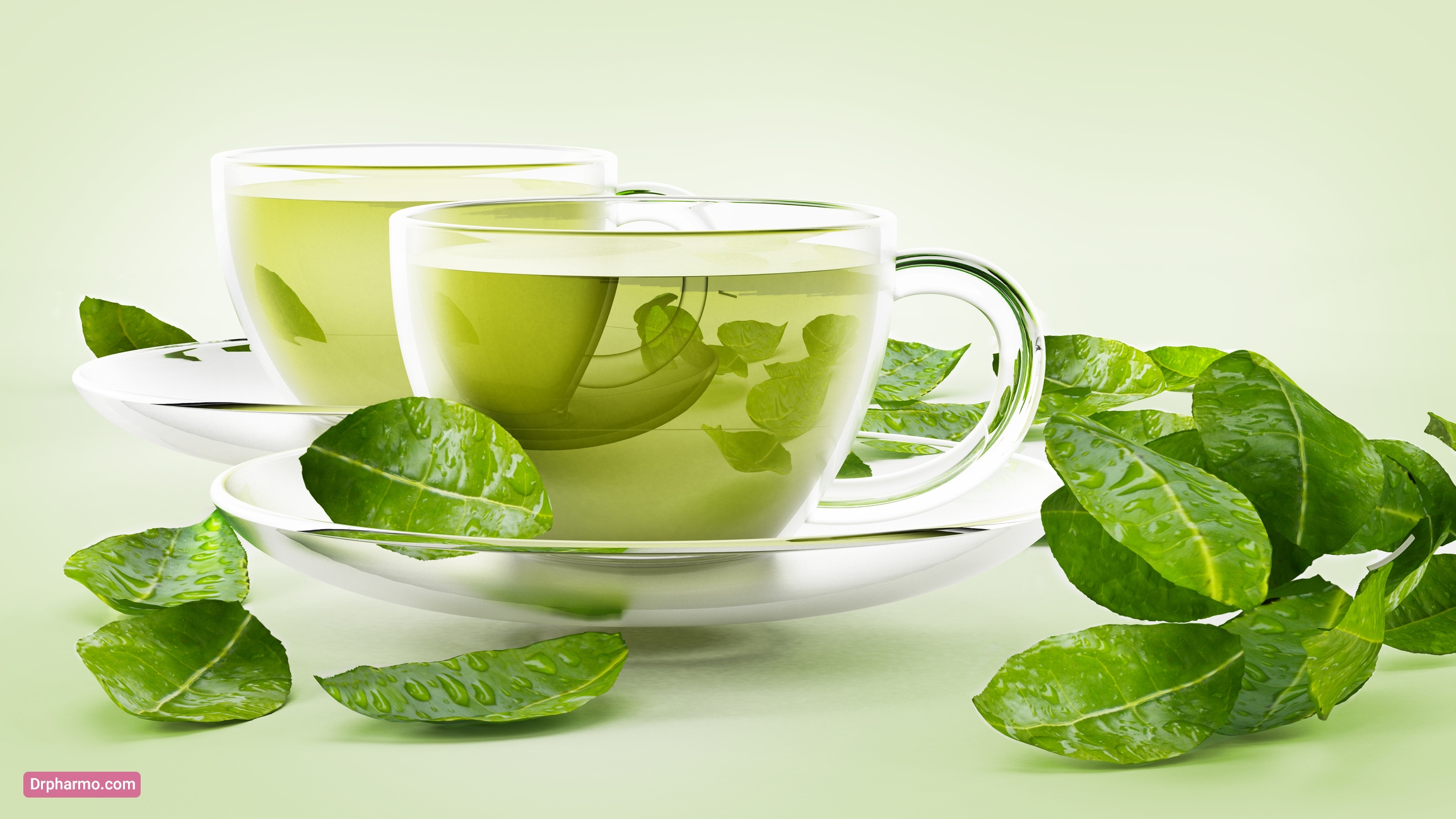 چای سبز برای درمان آلرژی